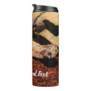 Recherche de boa tasses Reptile