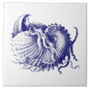 Recherche de nautilus carreaux Plage