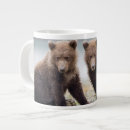 Recherche de jeunes animaux tasses Ourson