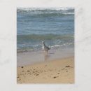 Recherche de plage de montauk cartes postales Nouveau