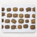 Recherche de coquille tortue tapis souris Froid blooded