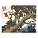 Recherche de arbre fruitier art Nature