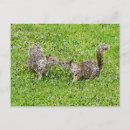 Recherche de pixels cartes postales Numérique