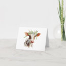Recherche de veau Élevage