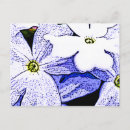 Recherche de jasmin cartes postales Fleur