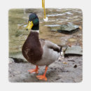 Recherche de ducks ornements Oiseaux