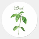 Recherche de basilic autocollants Cuisine