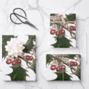 Recherche de baie de houx papier cadeau Botanique