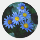 Recherche de blue daisy autocollants Bleu