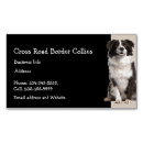 Recherche de colley cartes visite Dog