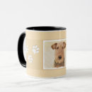 Recherche de border terrier tasses Chiot