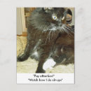Recherche de merlin cartes postales Chat