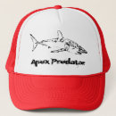 Recherche de prédateurs casquettes Requin