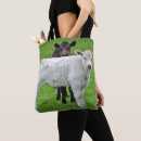 Recherche de scène rurale Animal