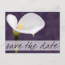 Recherche de arum invitations Fleurs