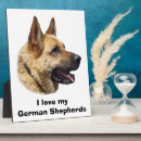 Recherche de allemand plaques Chiot