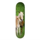 Recherche de mamans skateboards Animal