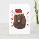 Recherche de irlandais noël cartes Chien