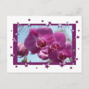 Recherche de orchids cartes postales Pour tous