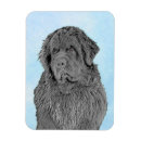 Recherche de chien terre neuve magnets Animal