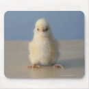 Recherche de intégral tapis souris Photographie