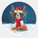 Recherche de springer anglais autocollants Noël