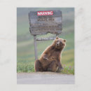 Recherche de ours brun posters Numérique