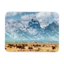 Recherche de parcs nationaux américains magnets Nature