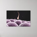 Recherche de reproducteur posters Tridimensionnel