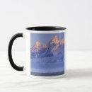 Recherche de cornue tasses Nature