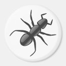 Recherche de fourmi magnets Animal