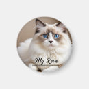 Recherche de chat blanc magnets Pour eux