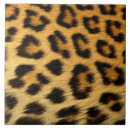 Recherche de famille de chat carreaux Animal