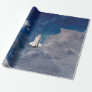 Recherche de navette papier cadeau Station spatiale