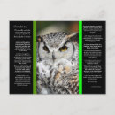 Recherche de grand hibou à cornes cartes postales Chouette à grande corne