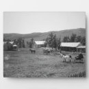 Recherche de haut plaques Amérique