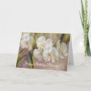 Recherche de orchidée blanche Anniversaire