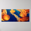 Recherche de biologiste posters Science