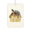 Recherche de bon voiture accessoires Tortue