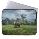 Recherche de éléphant coques Thaïlande