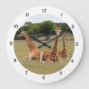 Recherche de fossiles horloges Orange