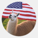 Recherche de lamas autocollants Toute personne