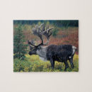 Recherche de environnement puzzles Bois