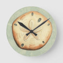 Recherche de coquilles de mer horloges Coquillage