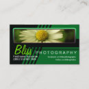 Recherche de rayures photographie Contemporain