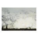 Recherche de élan posters Nature