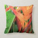 Recherche de heliconia coussins Hawaïen