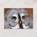 Recherche de owl cartes visite Aquarelle