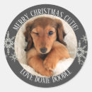 Recherche de chien de père noël autocollants Pour animaux
