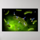 Recherche de protéine posters Biomolécule